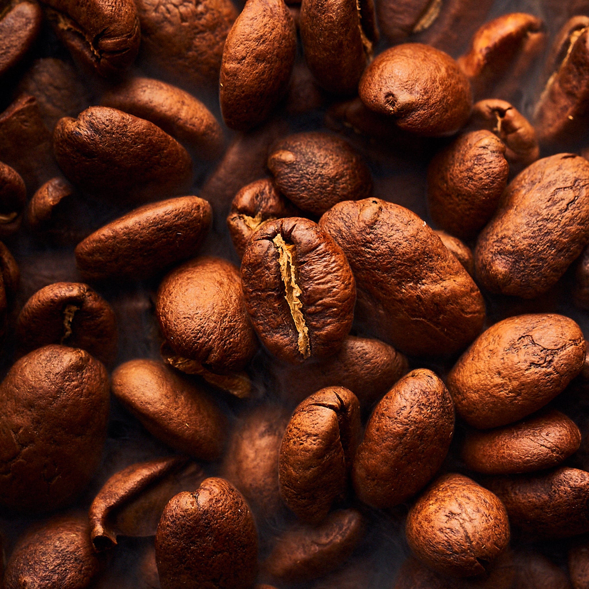 Image of Ziva Espresso Premium Coffee (Medium Roast)